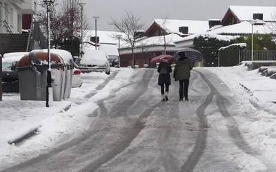 Negu giroa udaberriari hasiera emateko egunean