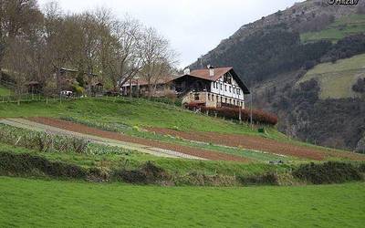 Zelaiak berde, baratzeak gorri