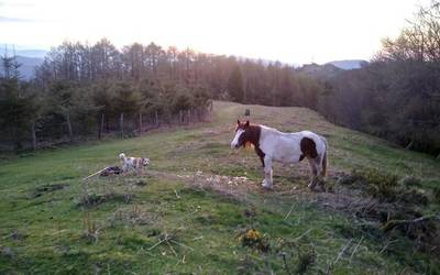 Ilunabarra, laino barik