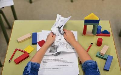 Zaraobe Institutuko ia ikasle guztiek egin diote planto PISAri