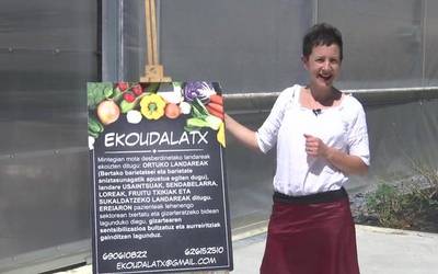 'Elikatu' 4. saioa: ortua balkoian eta tofu entsalada intxaur saltsarekin