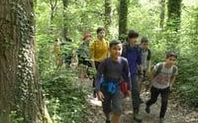 Natur Eskolaren bidez Oianguko altxorrak ezagutzen ari dira ikasle ordiziarrak