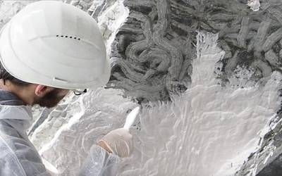 Iknofosil baten erreplika zehatza jarri dute ikusgai Zumaiako Algorri zentroan