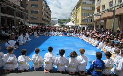 Judo erakustaldia Alaiko festen barruan