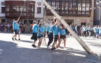 Igo dute arbola, egin du eztanda festak