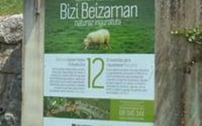 Beizamako Udalak  Babes Ofizialeko 12 etxebizitza sustatu nahi ditu herrian