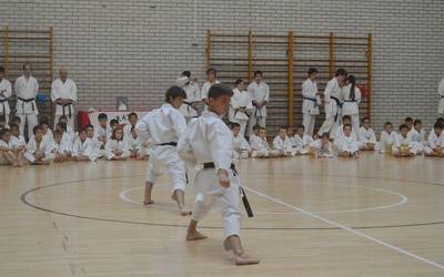 Goi mailako karate ikastaroa eskainiko dute bihar, Elkargunean