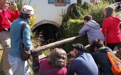 Bisita gidatuen eskuorria argitaratu du Baztan-Bidasoa Turismo Elkargoak