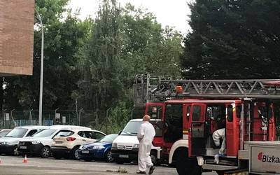 Bertako liztorraren erlauntz bat kendu dute Traña-Matienan