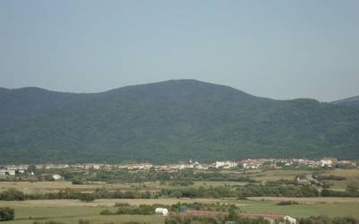 Utzubarko baso aprobetxamendua salduta