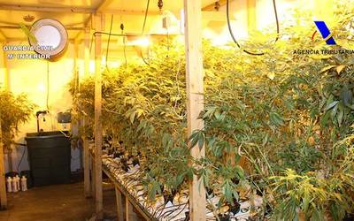 2.793 marihuana landareko haztegiaren jabeetako bat delakoan, gizon bat atxilotu dute Berrizen