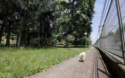Alango eta Aiboa lotzeko oinezkoen ibilbideak hobetzeko lanak abiatuko dituzte bihar