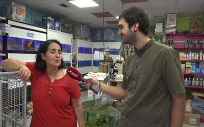 Arrasate Zoo animalia dendak ateak itxiko ditu