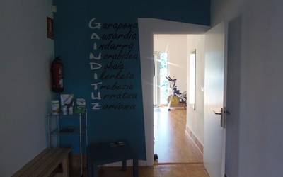 BALEIKE KLUBEKO ZOZKETA: Fisio bonoa Gaindituz zentroan