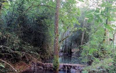Urriko Pulunpe irakurgai duzue, itxura berrituarekin