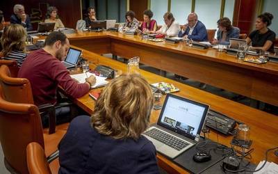 Hedabideen lupa Altsasuren gainean jarri zenekoa