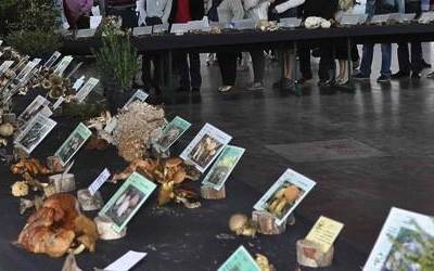 Geredixa elkartearen XXVII. Perretxiko Erakusketa egingo da asteburuan