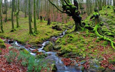 Gaur azken eguna, Artikutzara joateko