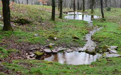 Putzuzarrerako, izenematea