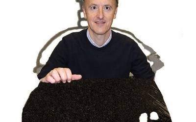 Aginkeriak