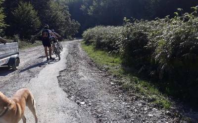 Urbiako bidea moztuko dute