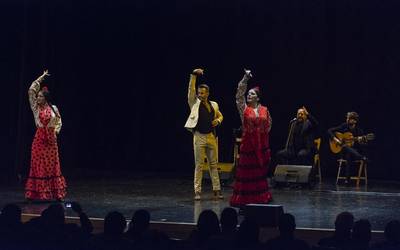 Larunbateko plana, flamenkoa