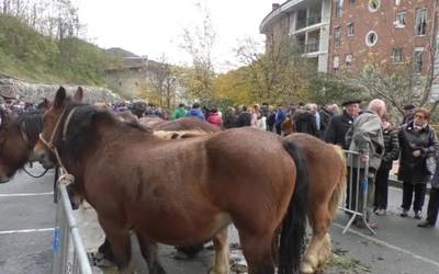Zegamako San Martin azoka, egun kuttuna herritarrentzat