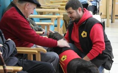 Biak Bat-en animalia taldearen mantenuaren aldeko diru-bilketa