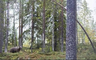 Iñaki Atxa elizondoarraren film laburra saritu dute Bilbon