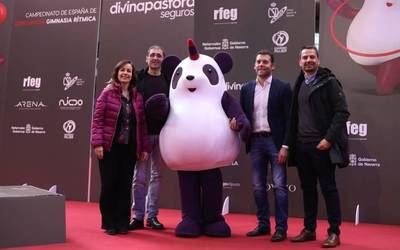 Gimnastika Erritmikoaren txapelketa Nafarroara itzuli da hamahiru urteren ondoren