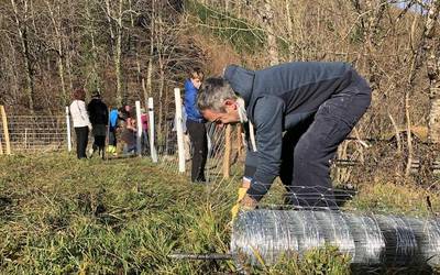Auzolanean, oinezkoentzat bide seguruago bat egin dute gatzagarrek