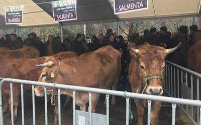 San Blas egunean azokaren "bidegabekeria" salatu eta animaliak babestuko ditu Durangaldea Antiespezista taldeak