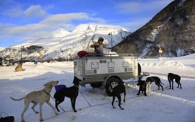 Kimetz Etxabe, munduko mushing txapelketan