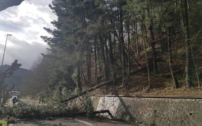 Pinu bat jausi da Arrasate eta Aretxabaleta arteko errepidera