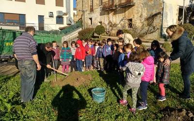 Zuhaitzak landatu dituzte gaur goizean Elgetako eskolako neska-mutikoek
