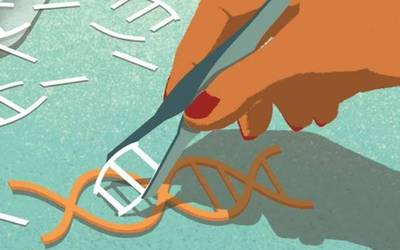 CRISPR, bioteknologia edonoren eskura