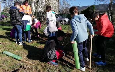 Zuhaitzak landatzen aritu dira Lehen Hezkuntza ikasleak