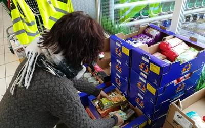 Produktuen bilketa egiten ari da Hotz Oñati