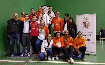 Domina ugari eskuratu du taekwondo klubak Gaztela-Leoiko Txapelketan
