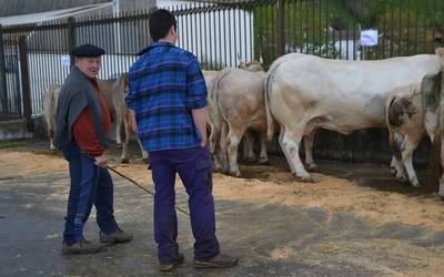 Berako IV. Azienda feria apirilaren 27an izanen da
