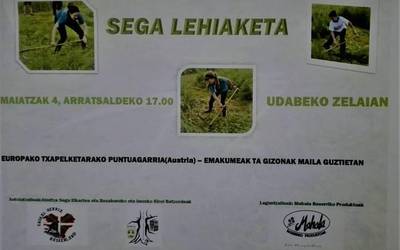 Sega lehiaketa bihar, Udabeko zelaian