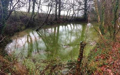 Geoparkeko barnealdeko hezeguneak, edanleku soilak baino gehiago