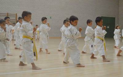 Karate eskolako ikasleen jaialdia asteartean, Elkargunean