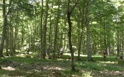 Bertan behera gelditu da Ordiziako Mendi Maratoia, parte-hartzaile gutxiegik izena eman dutelako