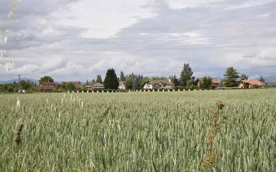 Armentia: nekazari, langile, aberats