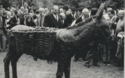 Musakolako astoak 20 urte betetzen ditu gaur