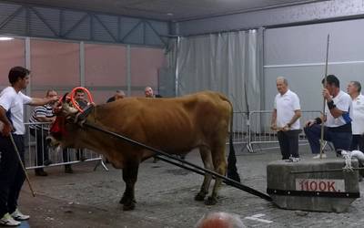 Azkoitiko Isidro Erretegiak irabazi zuen Uztarri Motzeko Trinitateetako I. Saria