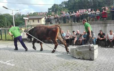 Narrondon asteburu honetan eta hurrengoan ospatuko dituzte sankristobalak