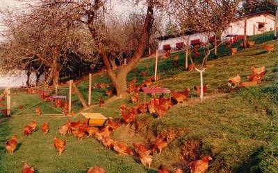 Jauregi baserriaren egunerokoa gertutik ezagutzeko aukera, uztailaren 6an