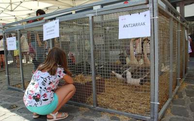 Hegaztien erakusketa egin zuten azken zapatuko ferian